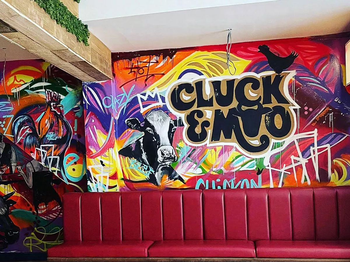 Discover Cluck & Moo
