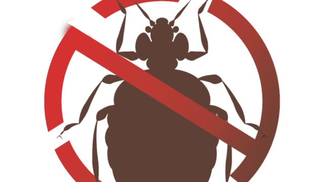 CS Pest Buster 3