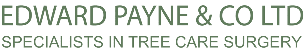 logo-edward-payne.aivbm755