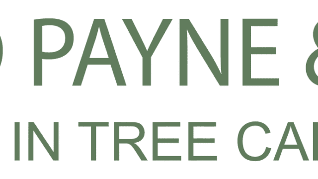 logo-edward-payne.aivbm755
