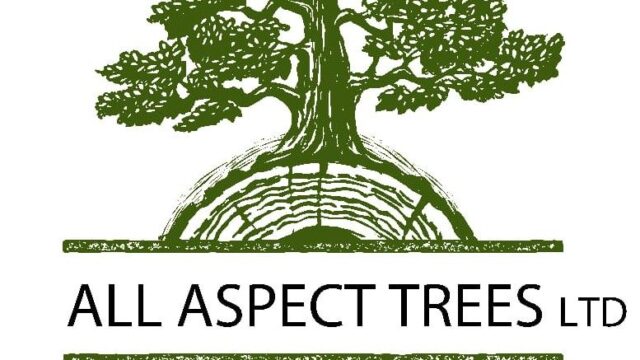 Logo_All_Aspect_Trees_Ltd