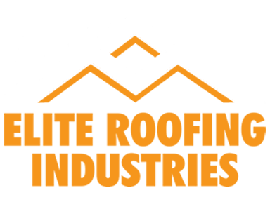 logo11